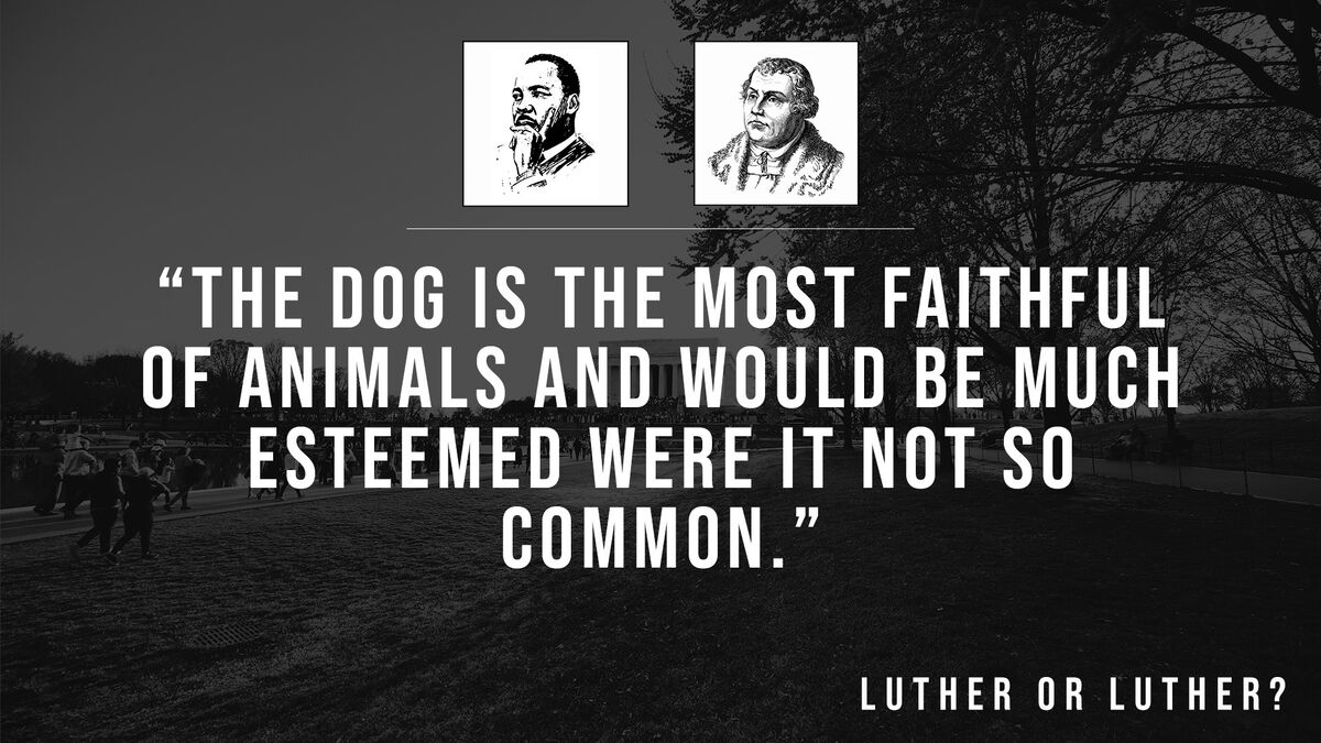 Luther or Luther 2 image number null